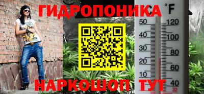 индика Краснознаменск