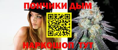 индика Краснознаменск