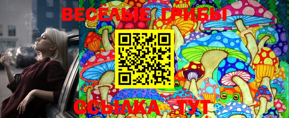 Йошкар-Ола  Псилоцибиновые грибы Cubensis  Вход с VPN  Галлюциногенные грибы Psilocybe 